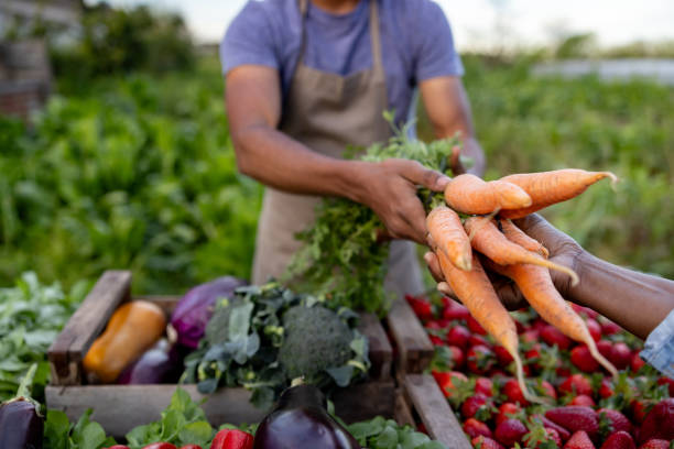 Agriculture